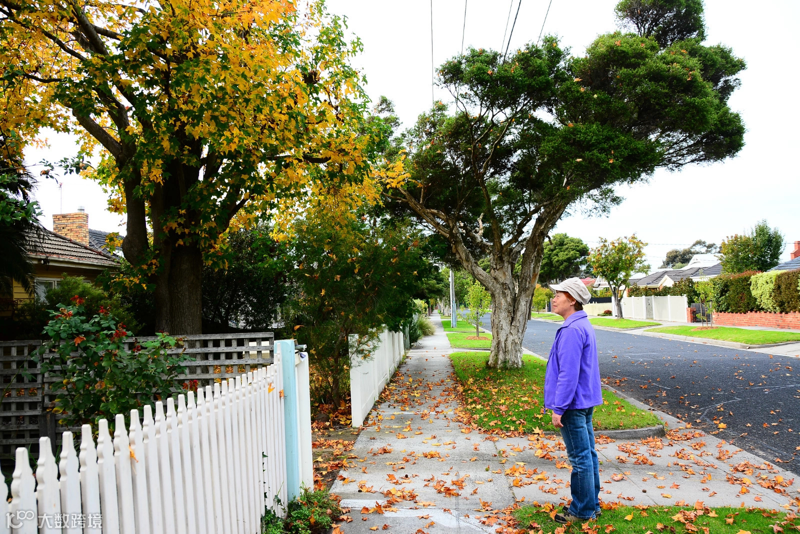 墨尔本杂记(二)