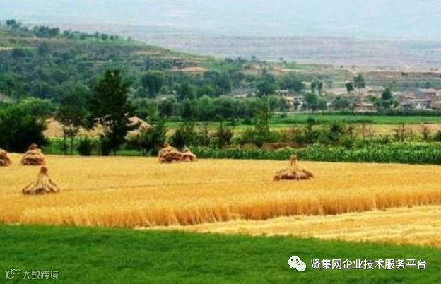 加拿大农业部长齐聚一堂,推动农业和农业食品行业的发展