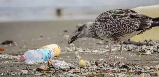 1562493278614687.jpg?x-oss-process=style/w10