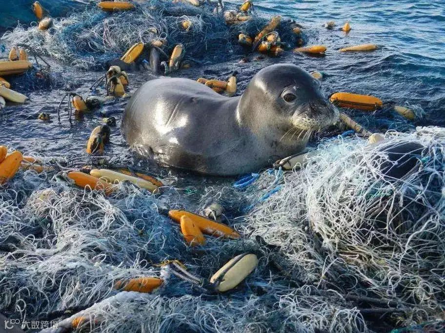 1562493233569145.jpg?x-oss-process=style/w10