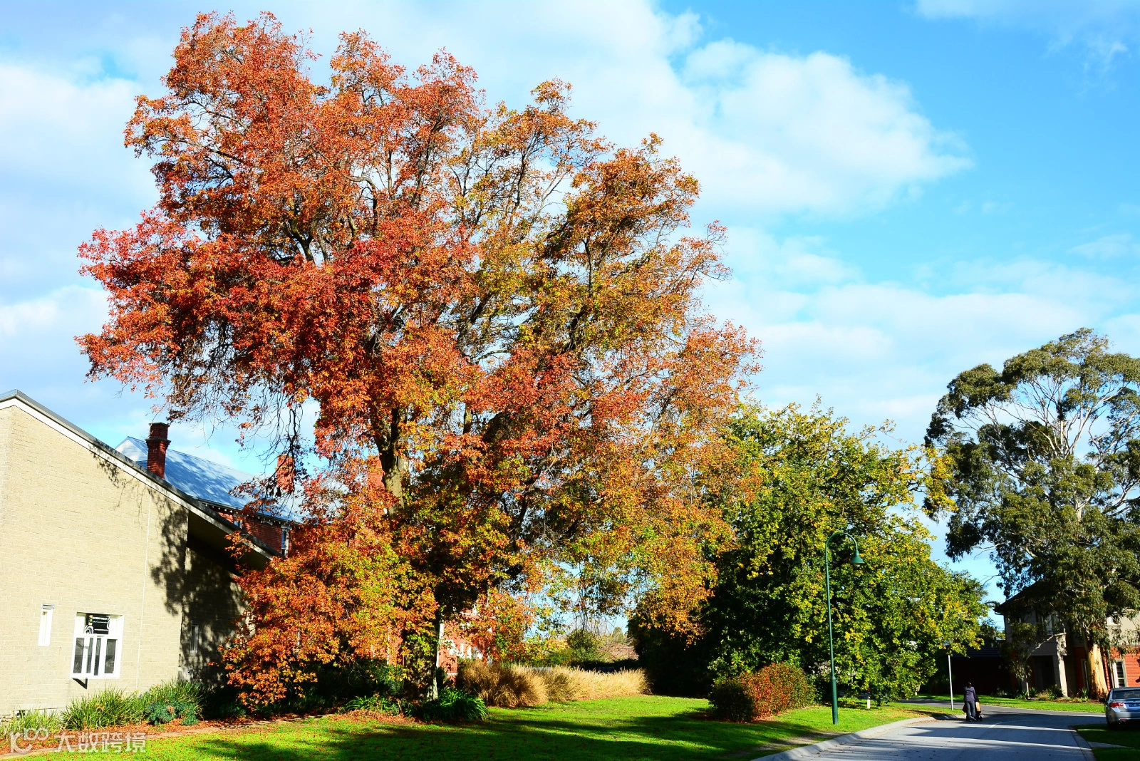 墨尔本杂记(二)