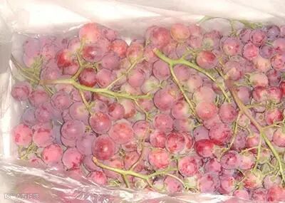 果蔬常用保鲜技术 贤集网生物食品专栏