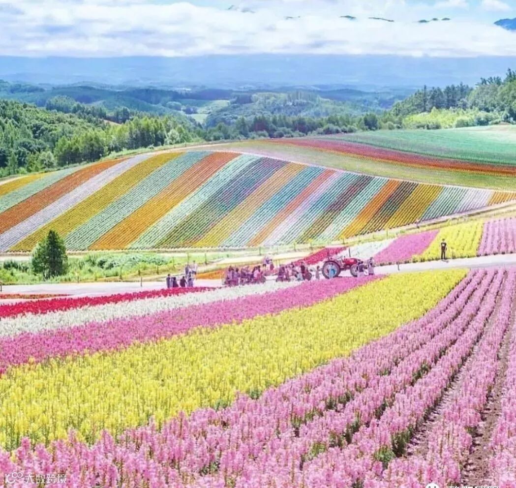 日本10连休将至旅行预约猛涨3倍 北海道、冲绳爆满