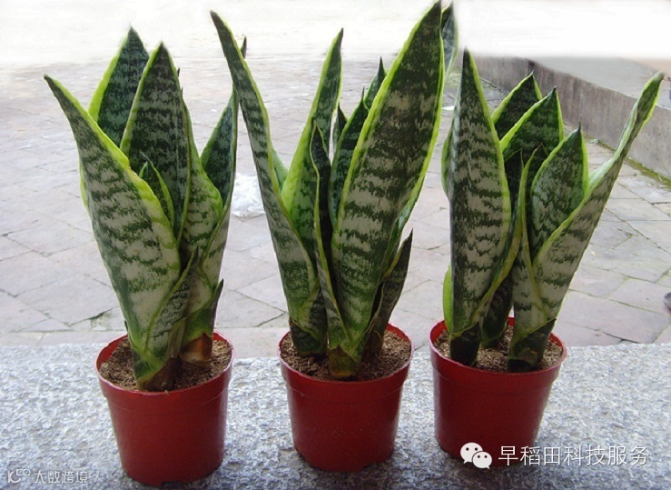 点击查看源网页