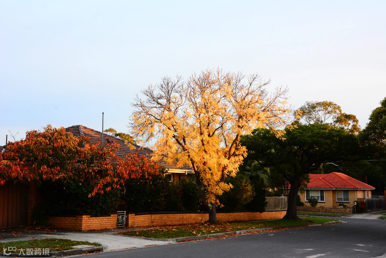 墨尔本杂记(二)