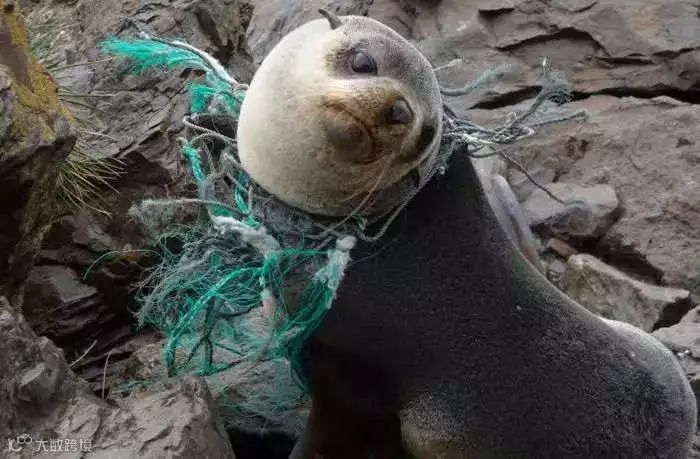 1562493301643530.jpg?x-oss-process=style/w10