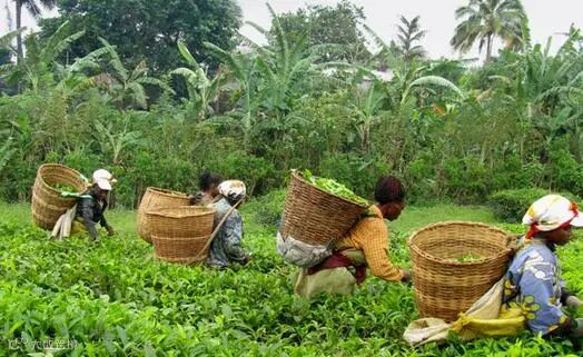 点击查看源网页