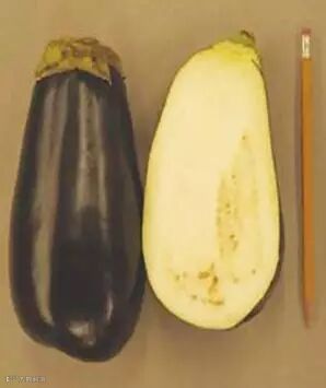 转基因食品管理办法【贤集网论文】