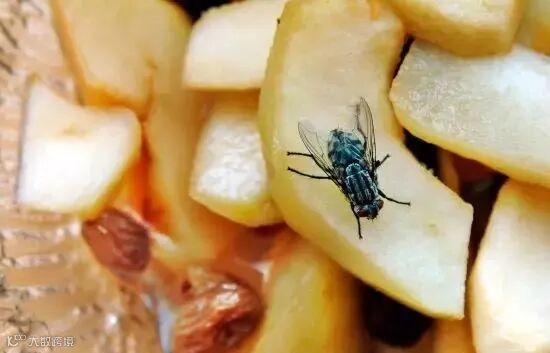 喝剩或过期葡萄酒的10大妙用