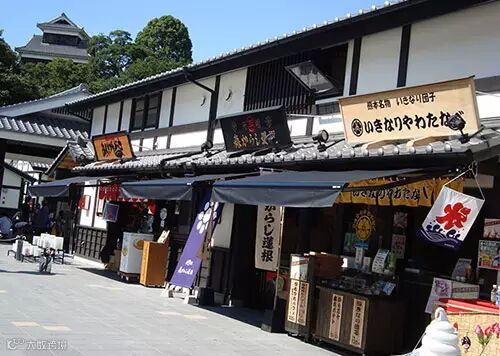 国外农村污水处理先进技术经验学习