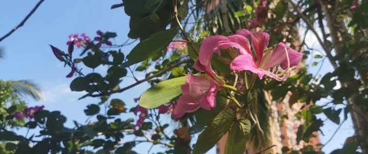 A股的底部在哪里？