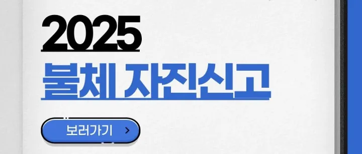 불법<em>체</em>류 외국인 특별 <em>자</em>진출국제도