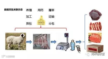 农产品整体解决方案