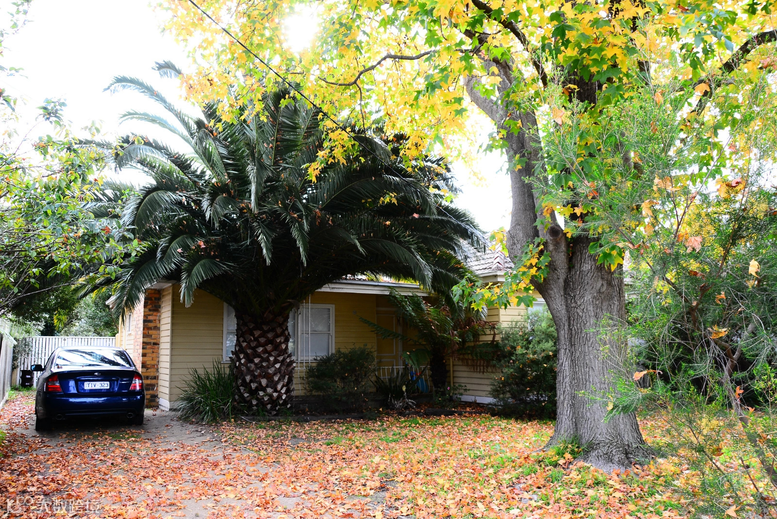 墨尔本杂记(二)