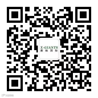 嘉驰国际海外公众号二维码.jpg