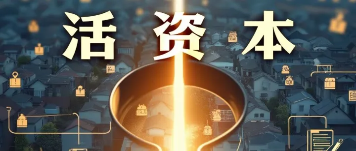 从“死资产”到“活资本”：解开《资本的秘密》中的制度性密码