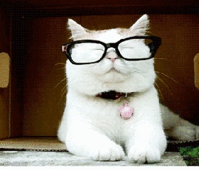 点击查看源网页