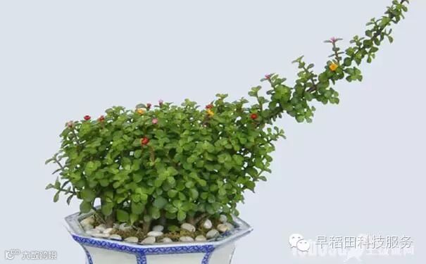 点击查看源网页