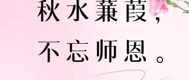 秋水蒹葭，不忘师恩。