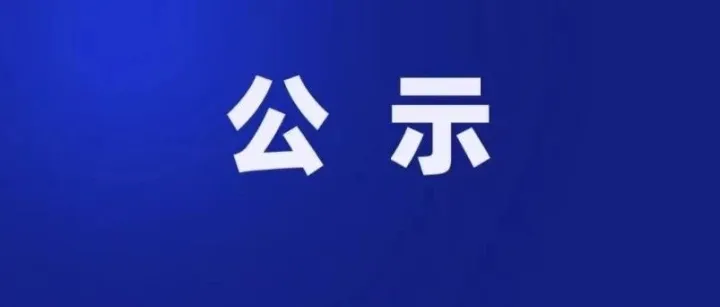 <em>铜陵</em>市路内泊位停车欠费车辆公示（第四批）
