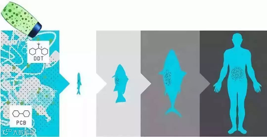 1562493398832638.jpg?x-oss-process=style/w10