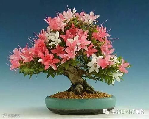 点击查看源网页