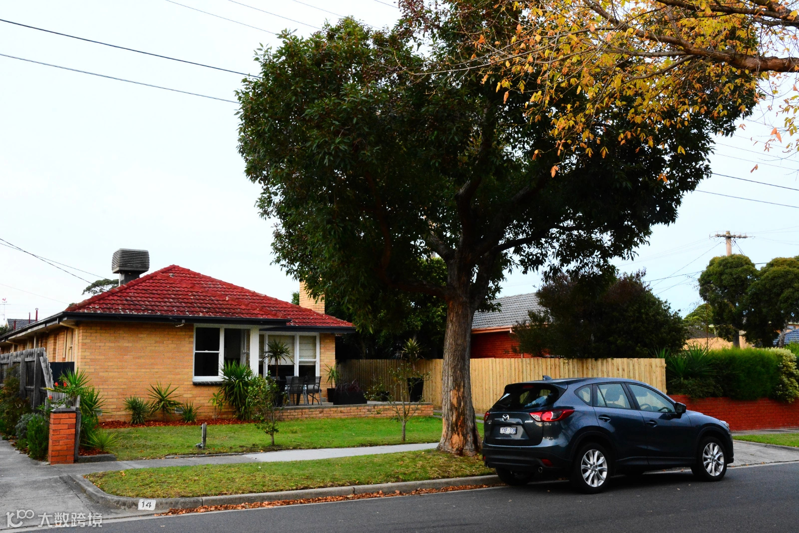 墨尔本杂记(二)