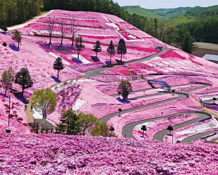 日本10连休将至旅行预约猛涨3倍 北海道、冲绳爆满