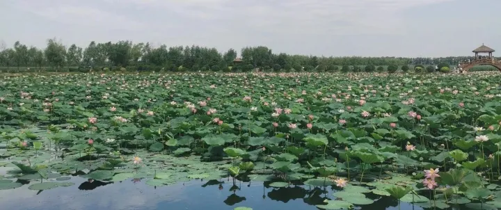 投资铜的标的有哪些？