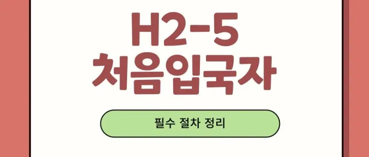 H2-5 <em>비</em>자 처음 받았다면 꼭 확<em>인</em>!