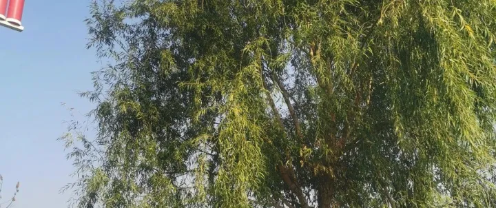 中信金融意难平