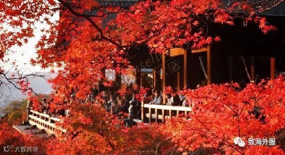 北海道赏枫的最佳时机