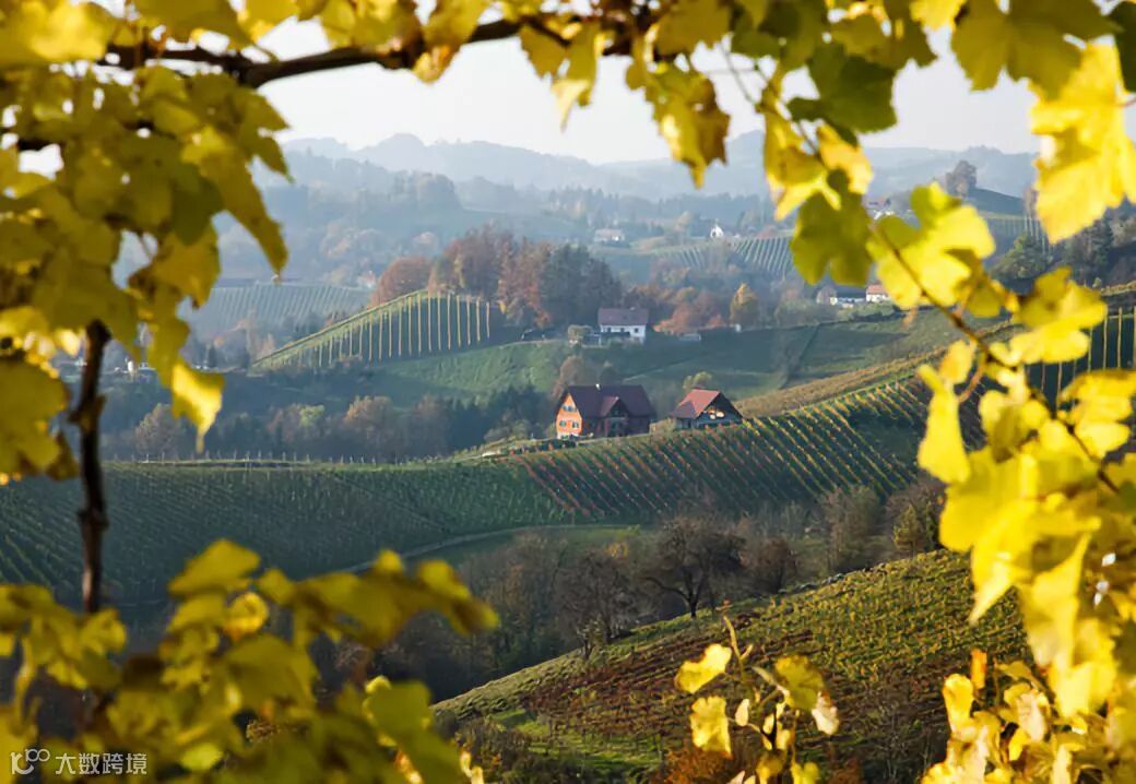 风土如何影响葡萄酒?