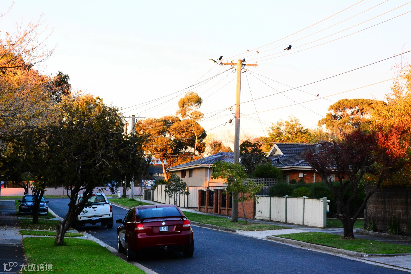 墨尔本杂记(二)
