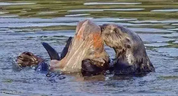 1562493345698570.jpg?x-oss-process=style/w10