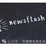 跨境电商今日要闻速递（2025年12月31日）