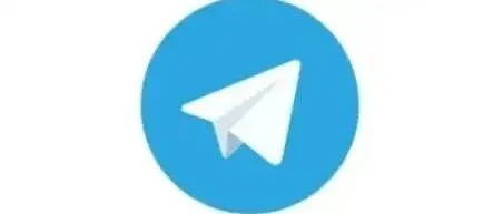 纸飞机App：为何SEO从业者对它情有独钟？