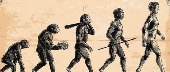 人类700万年前就能直立行走了?最新研究破解20年古人类学争议- 大数跨境