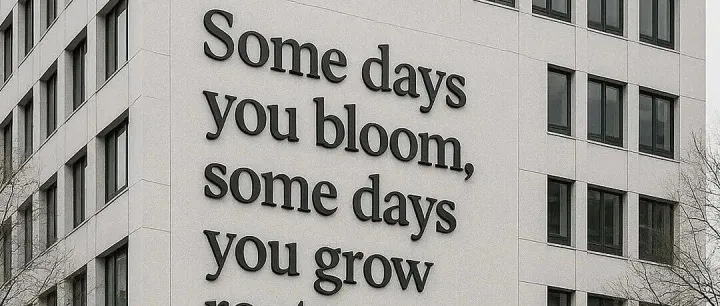 2025<em>年</em>12月目标完成<em>情况</em>