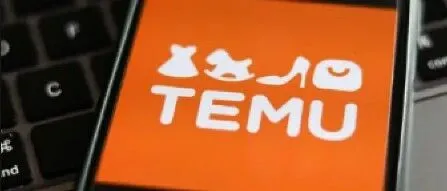 谁是Temu的“天选卖家”？