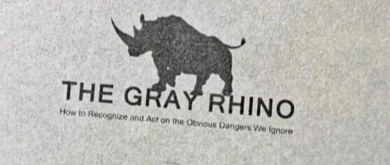 大批亚马逊卖家最近也经历了灰犀牛事件(附解决方法)