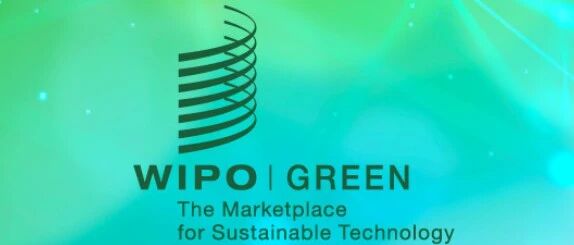 WIPO中国：WIPO GREEN上海城市加速项目2025进展回顾- 大数跨境