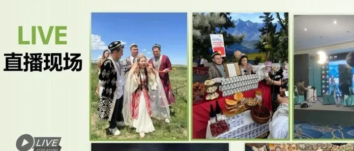 <em>新疆</em>电商协会副会长单位——<em>新疆</em>甄选电商有限公司