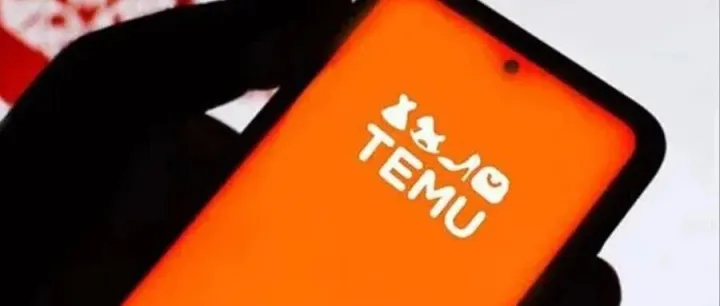 Temu新动向：机遇与挑战并存