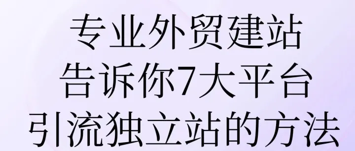 专业外贸建站告诉你：7大平台引流独立站的方法