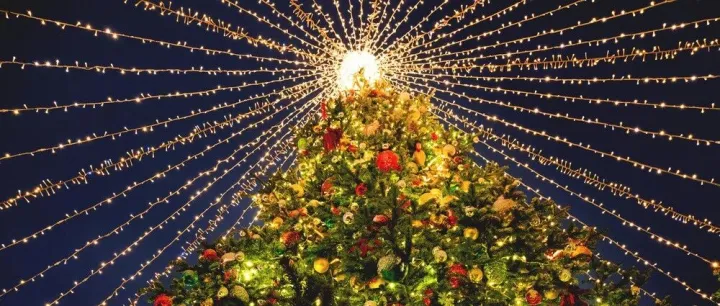 俄电商新年战略：Ozon保护卖家，Wildberries讨好买家