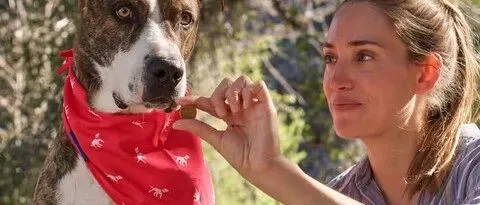 PetLab Co ：老年宠物保健品年销2亿美元！