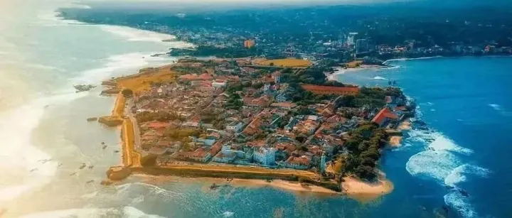 查询斯里兰卡公司可以获取什么文件和信息？