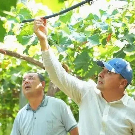 “瑞雪兆丰年”在中亚 <em>渭南</em>职教300名中亚农民学成归国