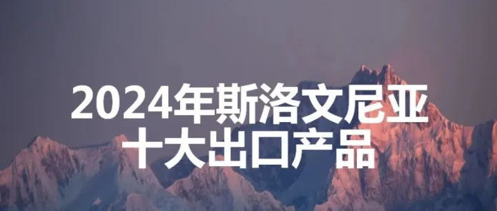 2024年斯洛文尼亚十大出口产品